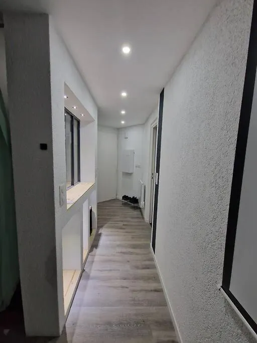 Apartamento Logement Atypique & Parking Gratuit Gex